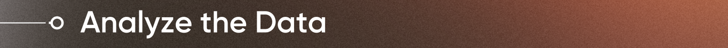 Analyze the Data 